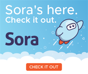 Sora Signin 