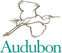 Audubon 